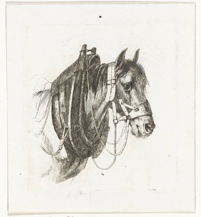 Hevosen pää, jossa suitset, valjaat ja satula tekijältä Abraham Hendrik Winter