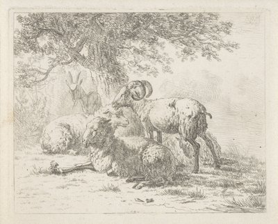 Lammas ja vuohi tekijältä Abraham Hendrik Winter