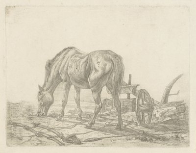 Kouluttamaton hevonen auralla tekijältä Abraham Hendrik Winter