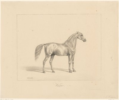 Arabian ori Vezir (otsikko esineessä) tekijältä Abraham Vinkeles