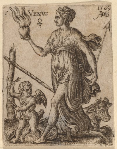 Venus tekijältä Abraham de Bruyn