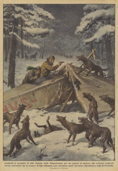 Pakko mennä alas Transilvanian metsään moottorivian vuoksi? tekijältä Achille Beltrame