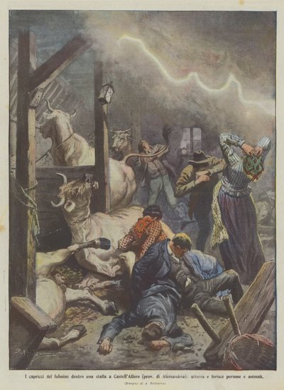 Salaman oikkuja tallissa CastellAlferossa (Alessandrian maakunta), laskeutukaa ja loukkaantuvat? tekijältä Achille Beltrame