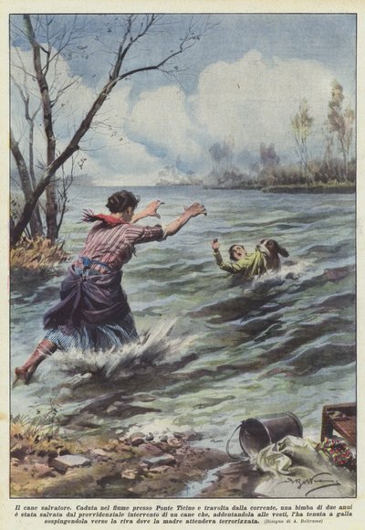 Vapahtajakoira tekijältä Achille Beltrame
