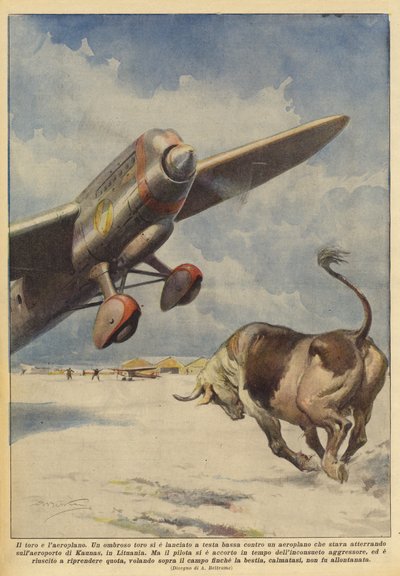 Härkä ja lentokone tekijältä Achille Beltrame