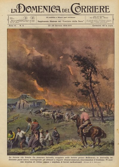 Palava metsä tekijältä Achille Beltrame