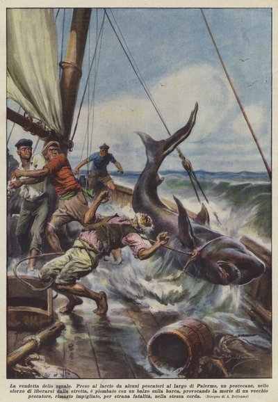 Hain kosto tekijältä Achille Beltrame