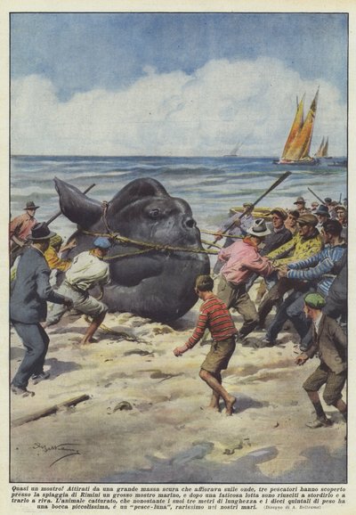 Melkein hirviö! tekijältä Achille Beltrame