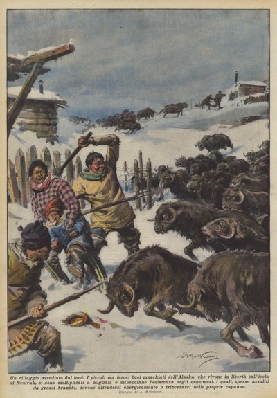 Härkien piirittämä kylä tekijältä Achille Beltrame