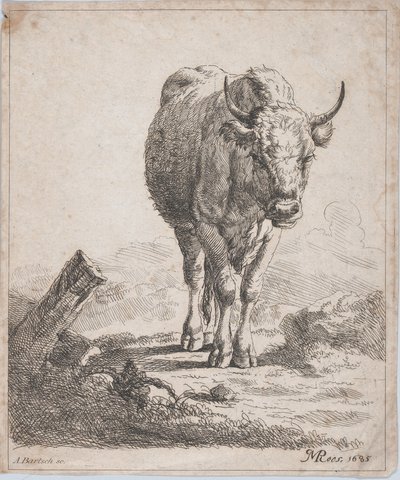 Lehmä edestä katsottuna, 1805. tekijältä Adam von Bartsch