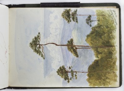 Luonnoskirja vesiväreistä, piirustuksia ja muistiinpanoja, Meksiko, 1896-1898 (akvarelli) tekijältä Adela Breton