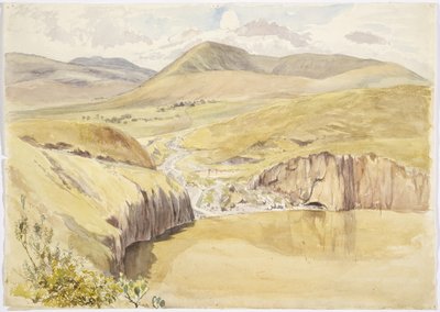 Alberea, lähellä Santiago del Vallea, Guanajuato, Meksiko (akvarelli) tekijältä Adela Breton