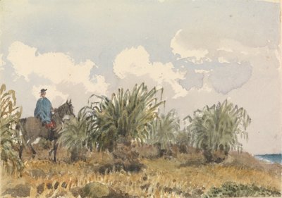 Tussac-ruoho, Falklandinsaaret tekijältä Admiral Sir Edward Gennys Fanshawe