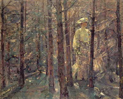 Nainen metsässä, 1906 tekijältä Adolf Hoelzel