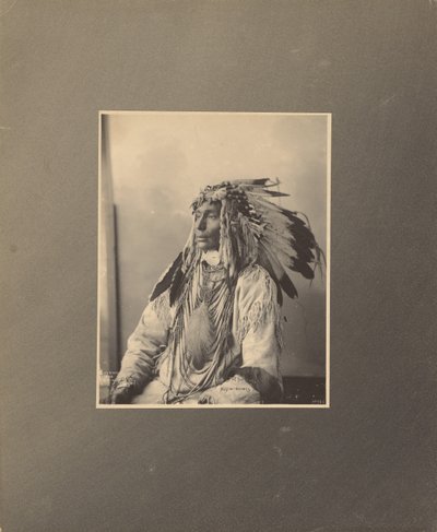 Kill Spotted Horse, Assiniboines tekijältä Adolph F. Muhr