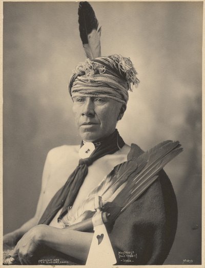 Mosteose (Holy Rabbit), Iowa tekijältä Adolph F. Muhr
