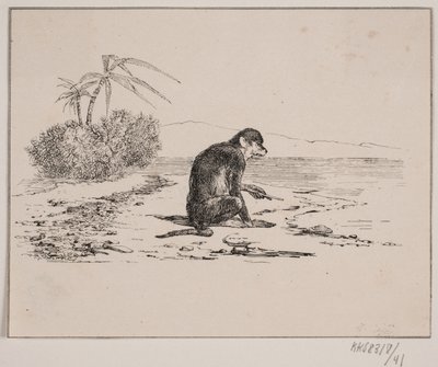 Apina kissa tekijältä Johan Adolph Kittendorff