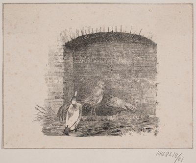 Kanat ja ankat tekijältä Johan Adolph Kittendorff