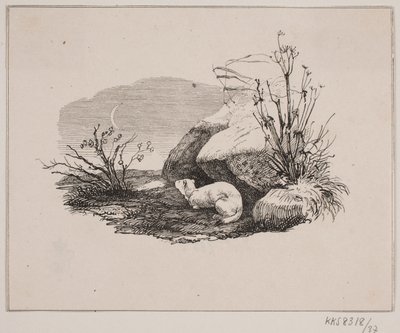 Vuotava kissa tekijältä Johan Adolph Kittendorff
