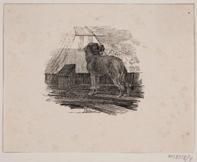 Villakoira koira tekijältä Johan Adolph Kittendorff