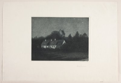 Kuutamoinen ilta Borupin kylässä tekijältä Adolph Larsen