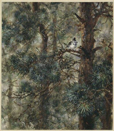  tekijältä Adolph Menzel