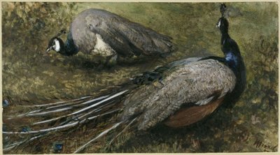  tekijältä Adolph Menzel