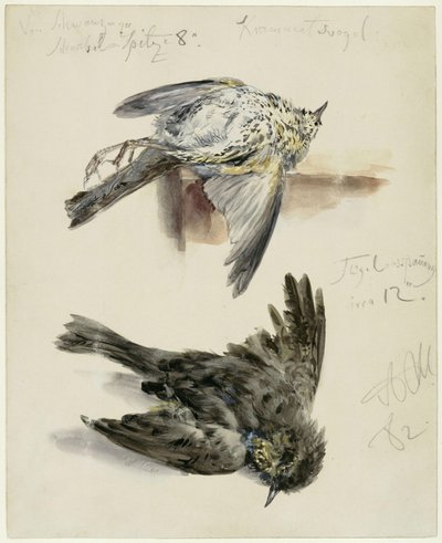  tekijältä Adolph Menzel