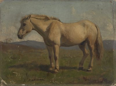  tekijältä Adolph Tidemand