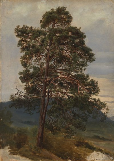Tutkimus männystä tekijältä Adolph Tidemand
