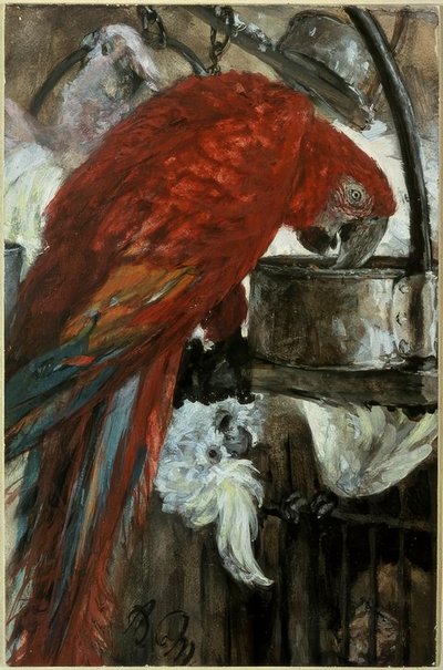 Ara ja Kakadu tekijältä Adolph Menzel