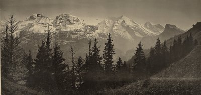 [Alppimaisema] tekijältä Adolphe Braun