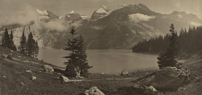 [Alppimaisema] tekijältä Adolphe Braun