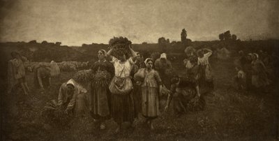 Kutsu keräilijöille tekijältä Adolphe Braun