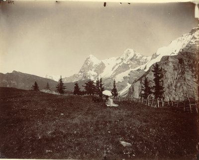 Maisema, Sveitsi tekijältä Adolphe Braun