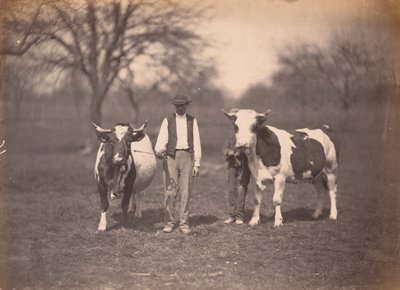 Maisema,c. 1864 (kuva) tekijältä Adolphe Braun
