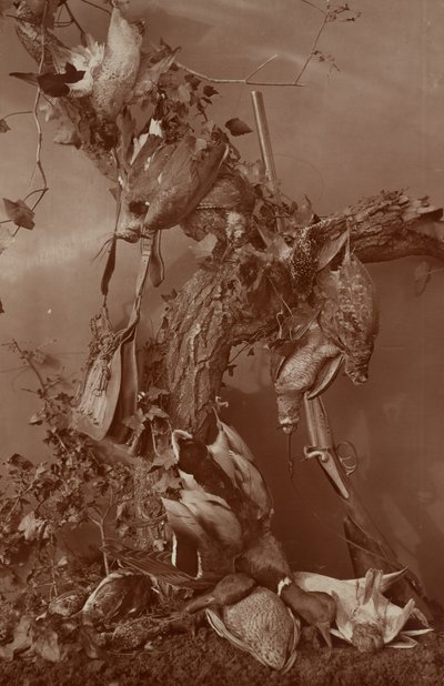 [Still Life: Dead Game] tekijältä Adolphe Braun