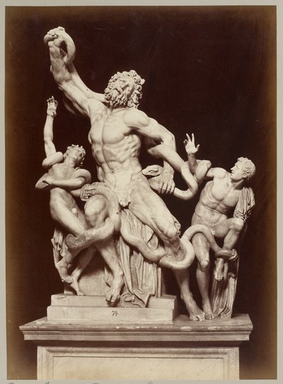 Laokoon Vatikaanin museossa tekijältä Adolphe Braun