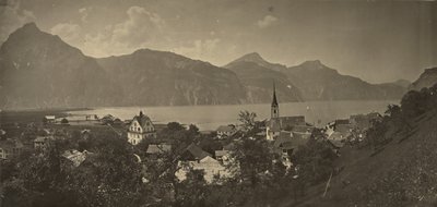 Näkymä Flüelenistä, Sveitsistä tekijältä Adolphe Braun