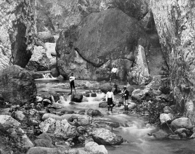 Cane River, Jamaika, 1905. tekijältä Adolphe Duperly and Son