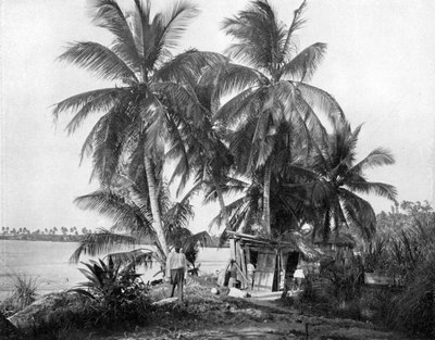 Matkalla Blue Holeen, Port Antonio, Jamaika, c1905. tekijältä Adolphe Duperly and Son