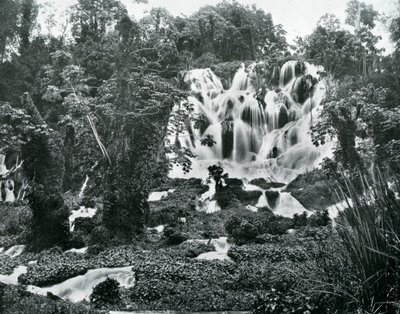 Roaring River Falls, Jamaika, 1905. tekijältä Adolphe Duperly and Son