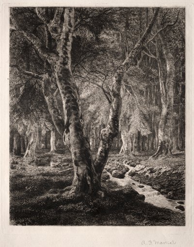 Pierrefondsin metsä tekijältä Adolphe Théodore Jules Martial Potémont
