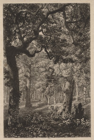 Metsässä tekijältä Adolphe Théodore Jules Martial Potémont