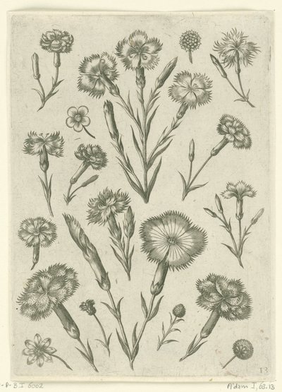Erilaisia ​​vihamielisyyksiä Florilegium (sarjan nimi) tekijältä Adriaen Collaert