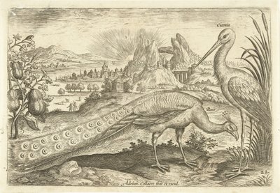 Kaksi lintua maisemassa Avium Vivae (sarjan nimi) Linnut (sarjan nimi) tekijältä Adriaen Collaert