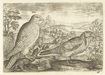 Kaksi lintua maisemassa Avium Vivae (sarjan nimi) Linnut (sarjan nimi) tekijältä Adriaen Collaert