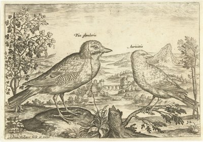 Kaksi lintua maisemassa Linnut (sarjan nimi) Avium Vivae (sarjan nimi) tekijältä Adriaen Collaert