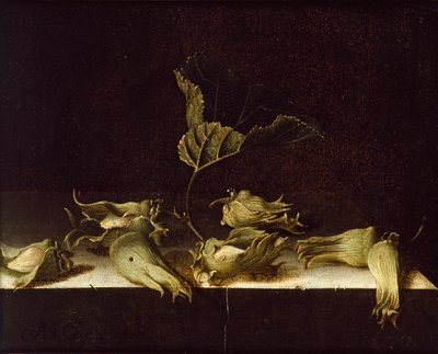 Asetelma hasselpähkinöiden kanssa, 1696 tekijältä Adrian Coorte