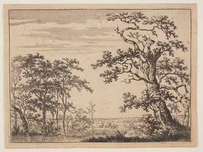 Lampi tekijältä Adriaen Hendricksz. Verboom